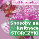 MóStorczyk.pl - Blog o storczykach.